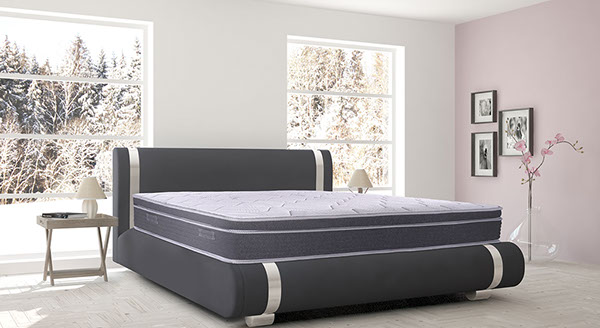 support3_ambientastret